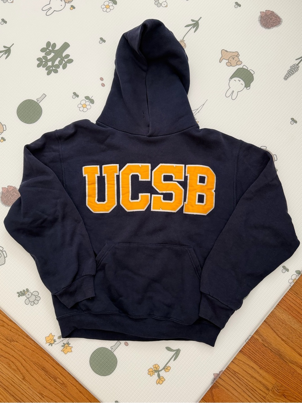 Russell Athletic UCSB Applique Hoodie Blue Small
